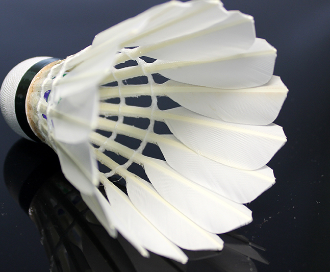 Badminton 800A Flight Is Stable And Resistant