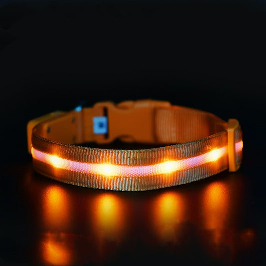 Luminous Pet USB Charging Collar