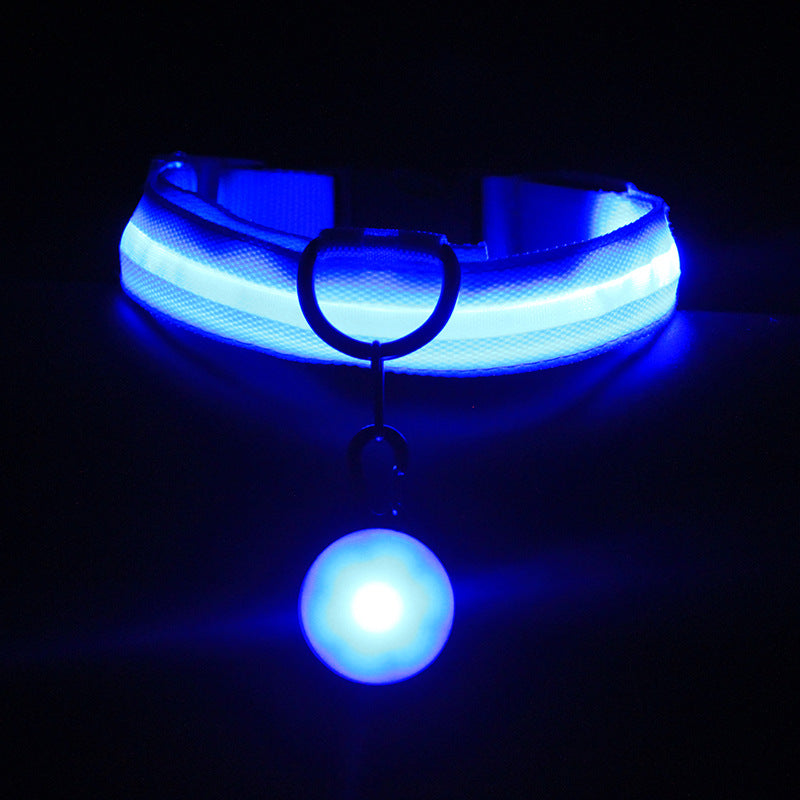 Luminous Dog Collar