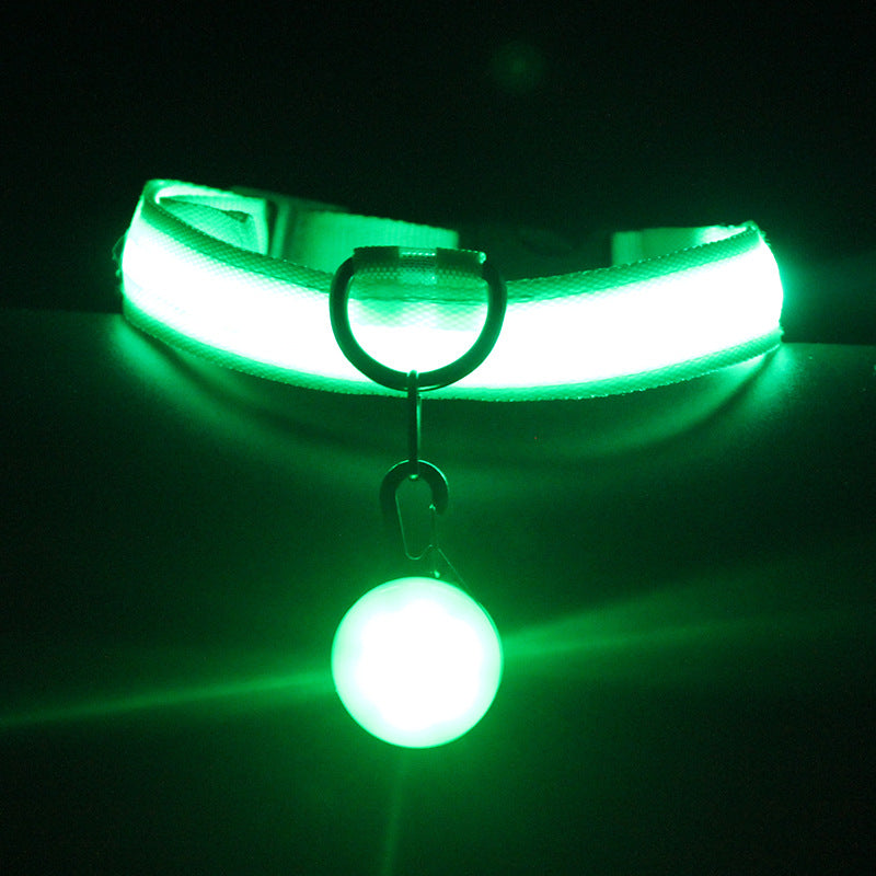 Luminous Dog Collar