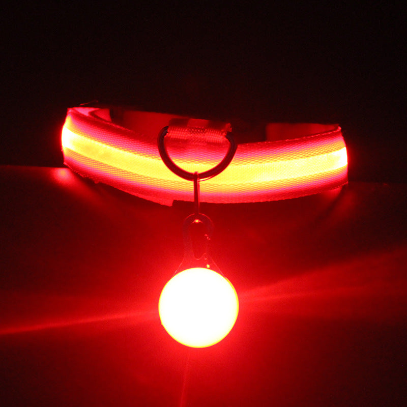 Luminous Dog Collar