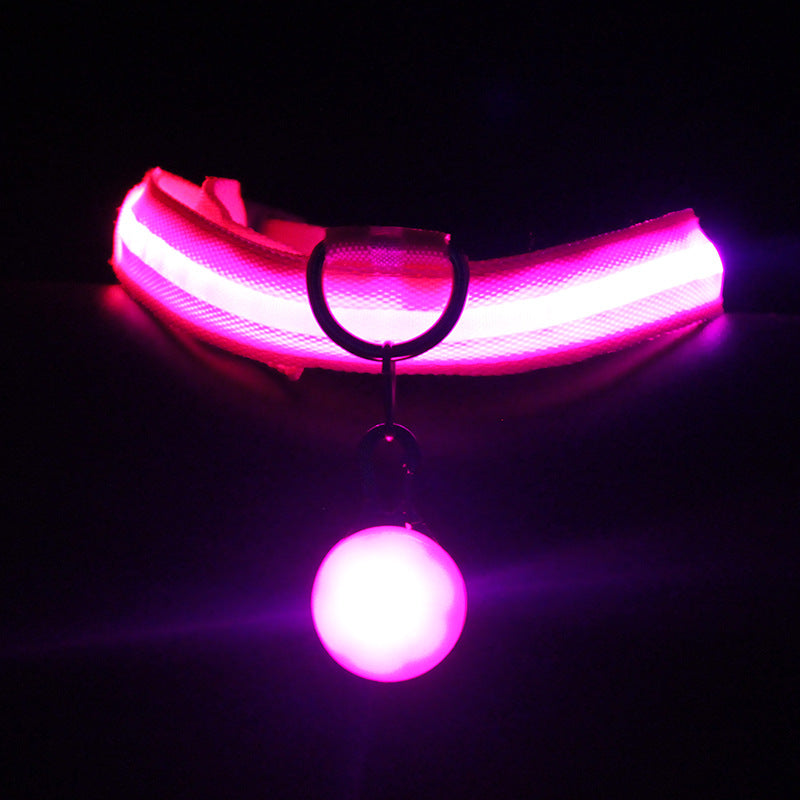 Luminous Dog Collar