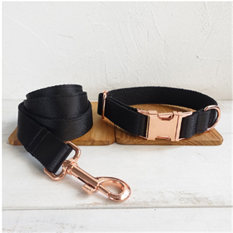 Black Dog Collar