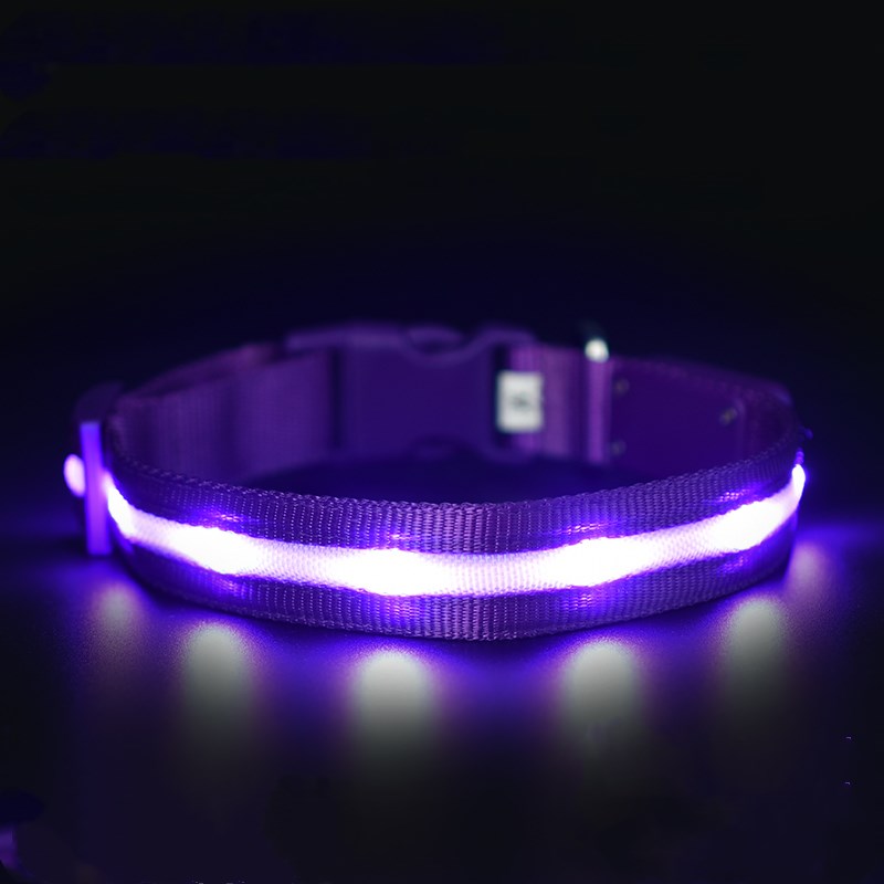 Luminous Pet USB Charging Collar