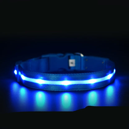 Luminous Pet USB Charging Collar