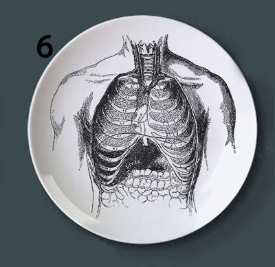 Human bone Decoration Plate