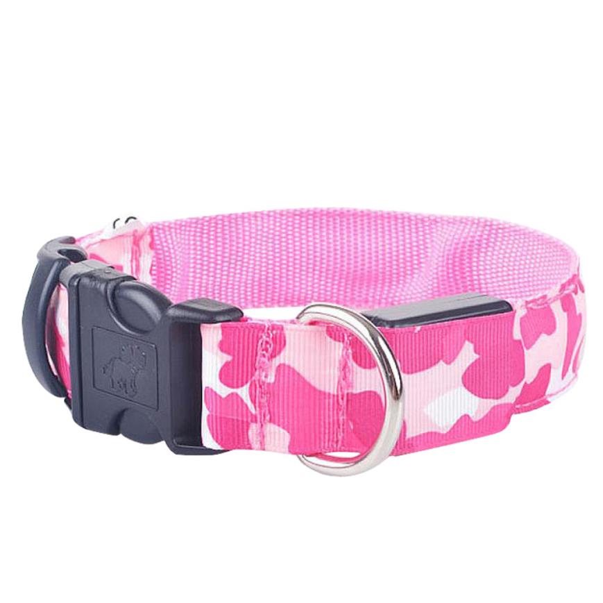 Luminous Dog Collar