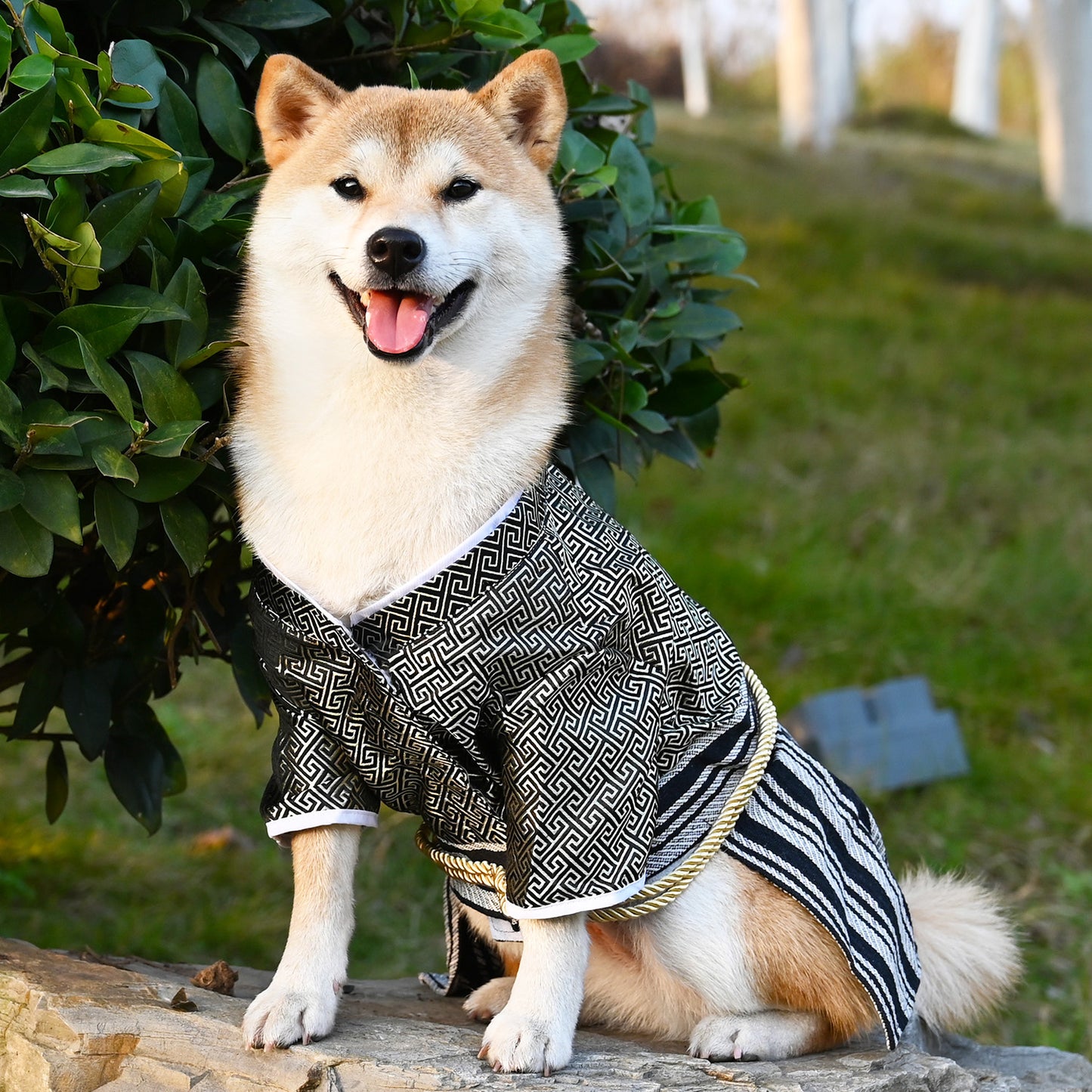 Pet Samurai Zephyr Clothes