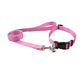 Pet Collar Traction Rope Set