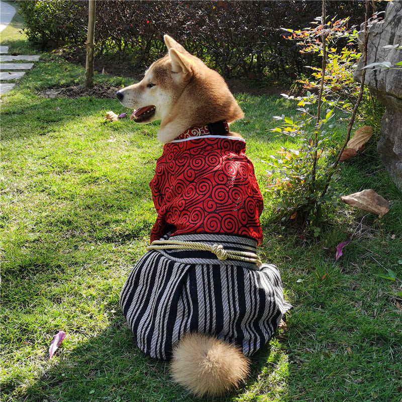 Pet Samurai Zephyr Clothes